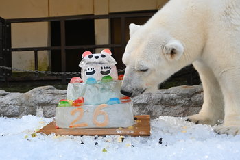ピース26歳誕生会の様子写真