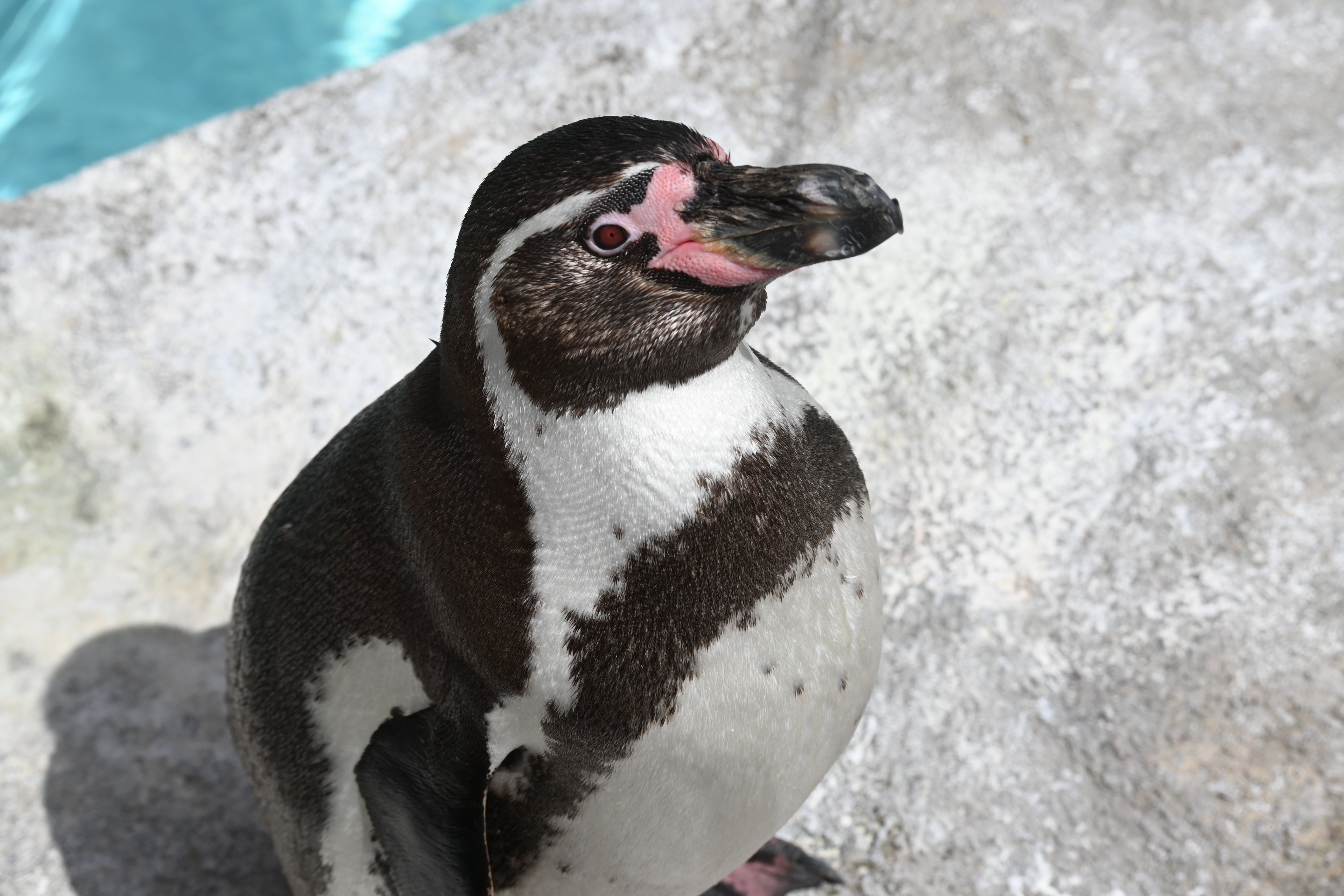 DSC_5371.JPG