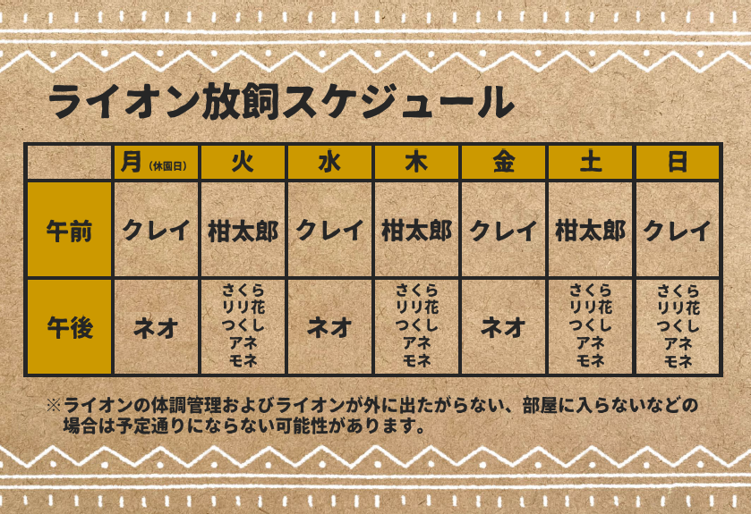 ライオン放飼スケジュール6.2～.png