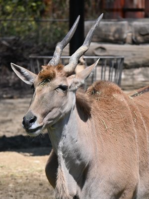 DSC_3005.JPG