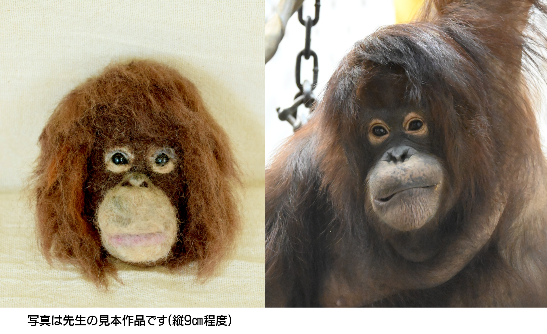 画像1-2.png