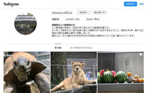 とべ動物園公式Instagramページ