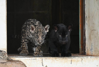 ★DSC_2403 -トリミング.jpg