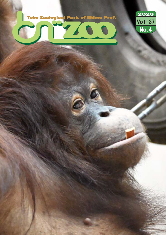 愛媛動物友の会広報誌「とべZOO」｜愛媛県立とべ動物園