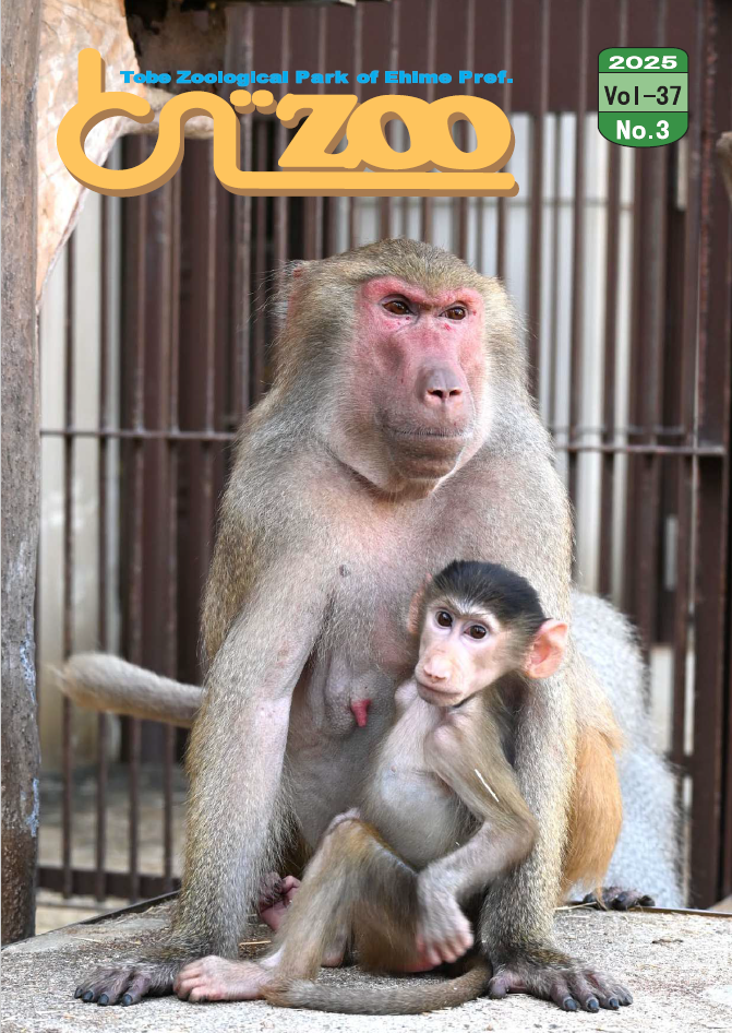 Vol-37 No.3
